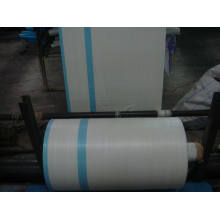 Coated/Uncoated Woven Fabric